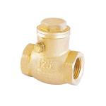 Normal Temperature 3/4 Inch Brass Check Valve Wear Resisting