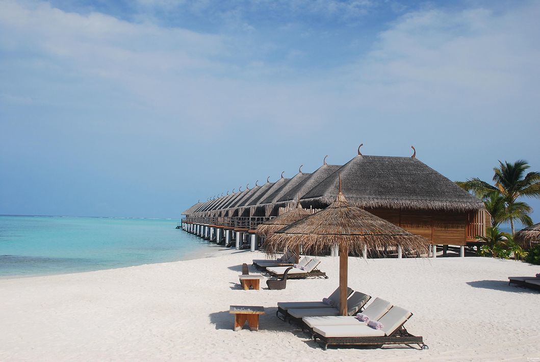 Waterproof Thatched Roofing Material, Synthetic Simulation Thatch Roof for Beach