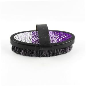 China Gradient Color Bling Horse Grooming Products Brushes For Horse Body Cleaning factory