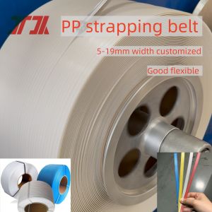 Good Flexible Plastic PP Polypropylene Strapping Making Machine with 250kg/H