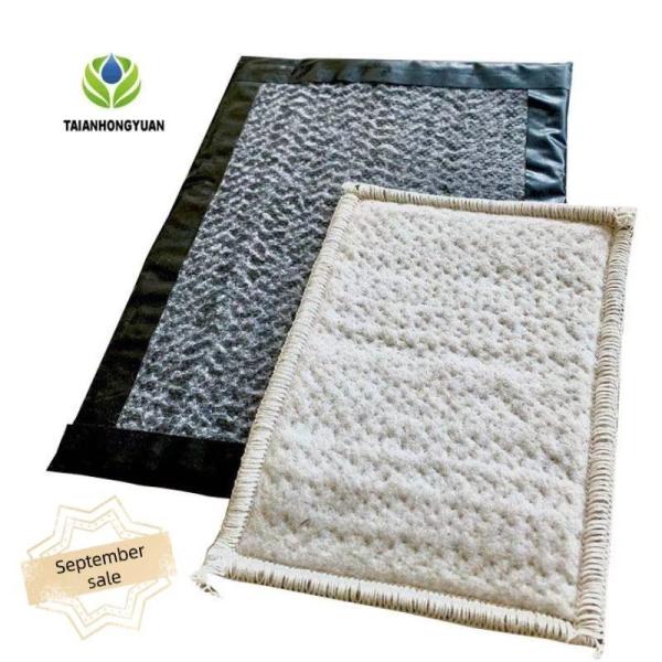 After-sale Service Onsite Inspection GCL Geosynthetic Clay Liner for Outdoor