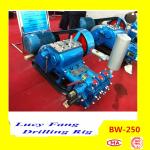 China Hot Powerful Cheapest BW-250 Mud Pump