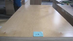 China UV2 Birch F/B Poplar Plywood factory
