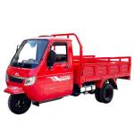 Design DAYANG 2022 Closed Body Type 1000W Trike Tuk Tuk Lifan Motorcycletuk