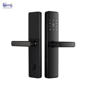 China Tuya Wifi App and TT Lock App Controlled Digital Door Lock with Multiple Unlock Ways on sale