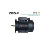 ZOZHI 0.75HP 0.55KW MYT711-2 Pool Pump Motor 2 Pole