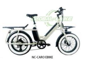 China Off-White 20 FAT 24 Inch Aluminum Alloy 25km/H 48v Battery City Electric Ride factory