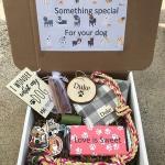 15'' 20'' 25'' Dog Birthday Treat Box Delivery For Corgi Pitbull