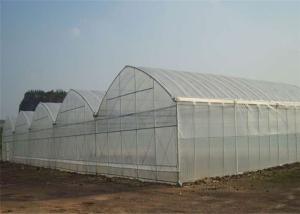 China High Strength Double Layer Greenhouse , Custom Greenhouse 4m Bay Width factory