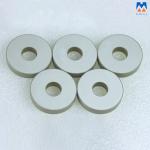Customized Ultrasonic Piezoelectric Piezo Ceramic Plate Ceramic Disc 30mm
