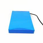 Deep Cycle 256Wh 12.8V 20Ah LiFePO4 Battery Pack
