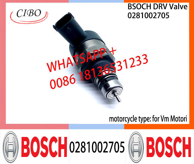 BOSCH DRV Valve 0281002705 Control Valve 0281002705 for Vm Motori