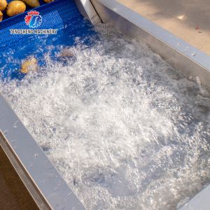 Multifunctional Fruit And Vegetable Processing Line Hoisting Machine