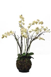 China Custom Color 117cm Artificial Orchids For Table Simulated From European Orchid factory