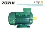 Aluminum Housing Three Phase Asynchronous Motor 6 Pole MS Series IE3 Standard