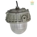 100-277VAC Energy Saving Explosion Proof Ceiling Lighting Fixture With CE