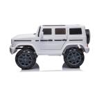 Direct Authorized 12V Electric Children's Ride On Car with Early Education