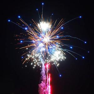 China 200 Shots 1.4 Pro 1000G Fireworks Cake Pyrotechnics For New Year Celebration Liuyang Factory Wholesale Fireworks factory
