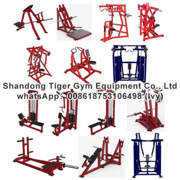 China Gym Fitness Equipment Iso-lateral High Row / bent over row / stand Iso-row / Incline row / Low Row / Seated Row machine factory
