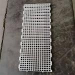Poultry Farm High Quality Adult And Baby Chicks Poultry Slats baby chicks