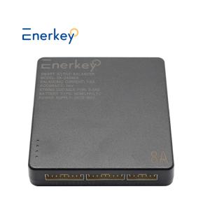 China 4S Smart Active Balancer Lifepo4 Lithium Battery Bms 48V 12V 200A 8A For Solar Panels factory