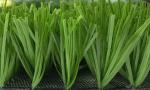 Professional Durable Football Artificial Turf 5 / 8 Inch Gauge Free Sample
