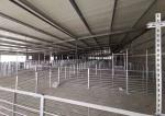 Q355 / Q235 Steel Structure Pig House Fireproof Industrial Steel Buildings