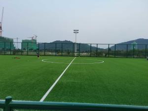 China Soccer Artificial Turf Grass Football Artificial Grass Sports Flooring For Wholesale factory