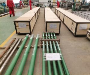 China Diameter 44mm Oil Well Downhole Pumps 25-175 RHAM-12-2-2 factory
