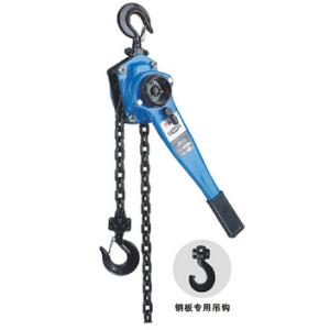 China Transmission Line Tool Rated Load Lifting Capacity 9Ton Ratchet Lifting Chain Lever Hoist Pulley factory