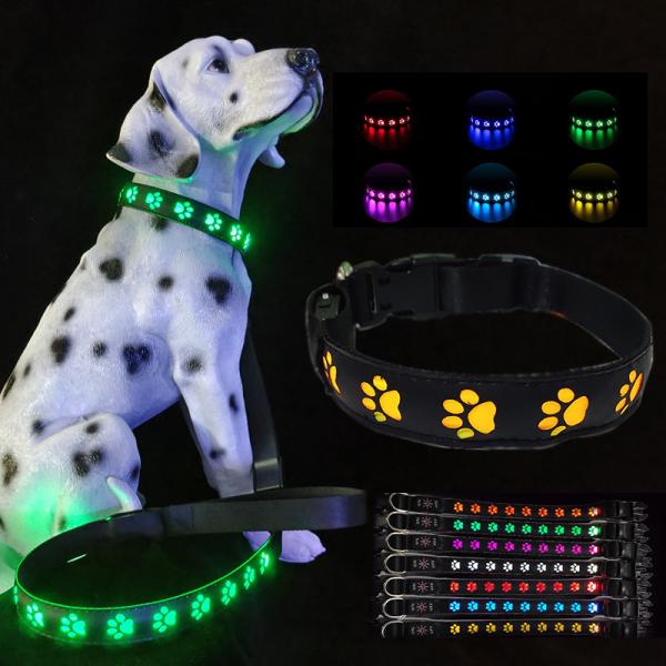 China Rechargeable Led Dog Leash Illuminating Walking Night Glowing USB Rivet Decoration factory