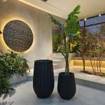 Upgrade Gardening Game With Our Stylish Fiber Clay Planter Collection