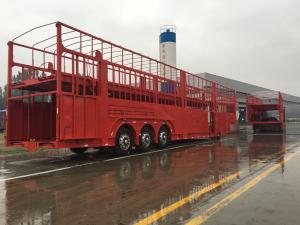 China Customized High Capacity Car Carrier for Suvs and Cars AND9170TCL at Affordable Cost factory