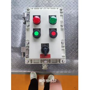 China Explosion Proof 220V Flameproof Control Panel with Breaker Panel Cabinet on sale