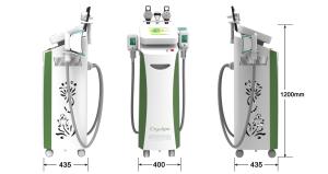China Big sale! Latest 5 handles cryolipolysis body slimming beauty equipment for salon factory