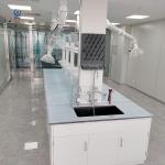 Floor Standing Island Lab Bench , Smooth Laboratory Wall Bench Furniture