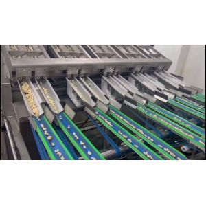 China 12 Lanes 12 Outlets Cashew Sorting Machine 1000kgs/Hour with 360° Rotating Scanning and Deep Learning Technology factory