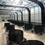 30m Herbs Automated Light Deprivation Greenhouse