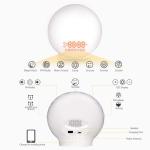 Acrylic RGB Sunrise Simulation Alarm Clock FM Radio Natural Wake Up Light