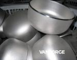 Duplex / Austenitic Stainless Steel Buttweld Caps , Butt Weld End Cap