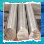 2507 Grade SS Round Bar With Various Sizes And Annealed Heat Treatment