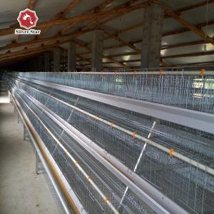 China 3, 4, 5 Tiers A Frame Layer Cages Chicken Poultry Laying Hens House Equipment factory