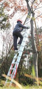 China En131 10.58m 3x15 Multipurpose Aluminium Foldable Ladder factory