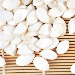 Manufacturers sell a large number of high-quality green pumpkin seeds in bulk