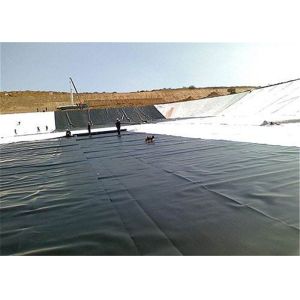 Customization 0.5mm Hdpe Polyethylene Geomembrane For Fish Tank