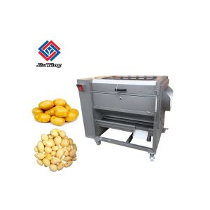 Vegetable Peeler Machine Carrot Brush Washing Machine Ginger Cleaning