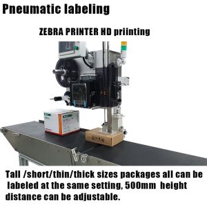 Automatic Grade Advanced Tamp-Blow Labeling System for Perfect Label Application