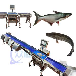 China Anti Corrosion Fish Weight Grader Automatic Fish Weight Sorter factory