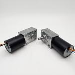 Faradyi Customized High Torque Low Rpm DC Gear Motor 12V 24V Electric Motor with
