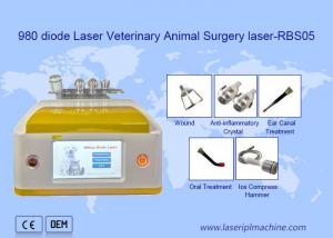 China Clinic Use Portable 980nm Diode Laser Veterinary Removal Machine factory